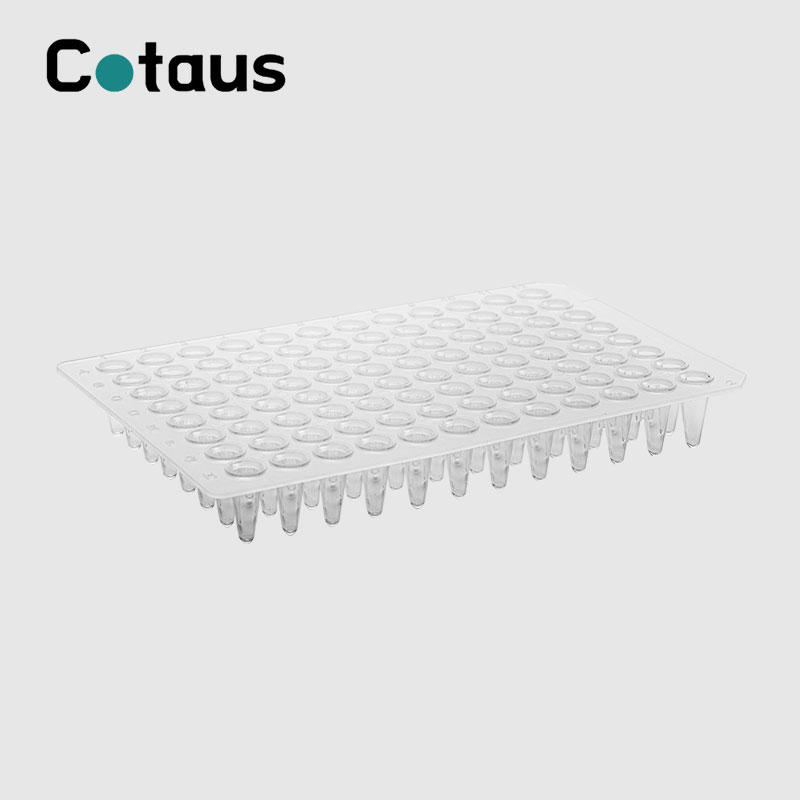 96 Well 0.1ml Transparant PCR-plaat zonder rok