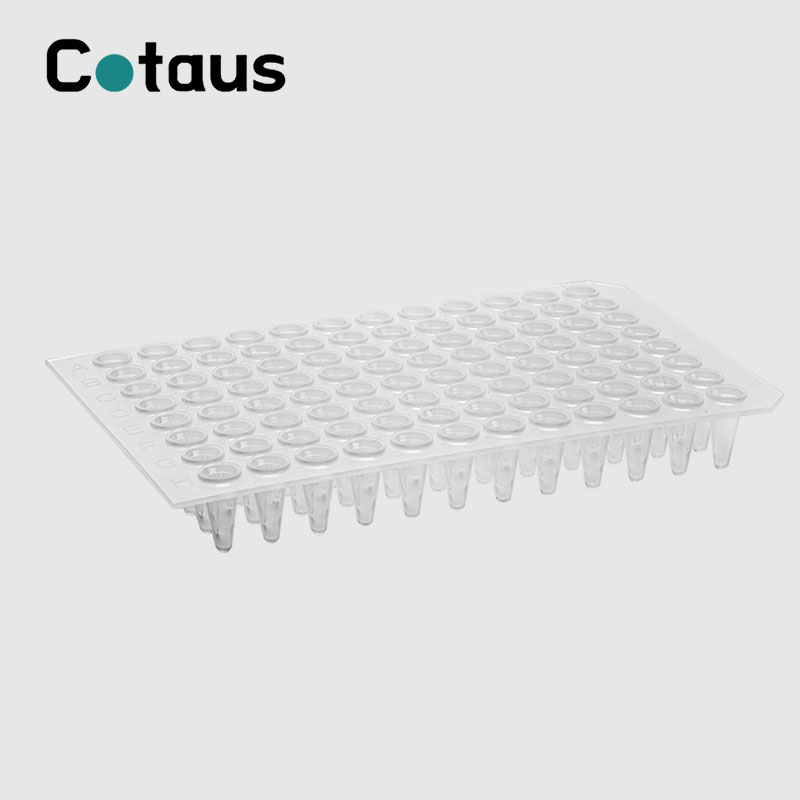 96 Well 0.2ml Transparant PCR-plaat zonder rok